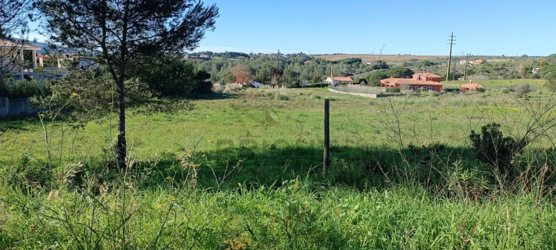 Terreno para Venda em Santa Maria e São Miguel, São Martinho, São Pedro Penaferrim Foto 1