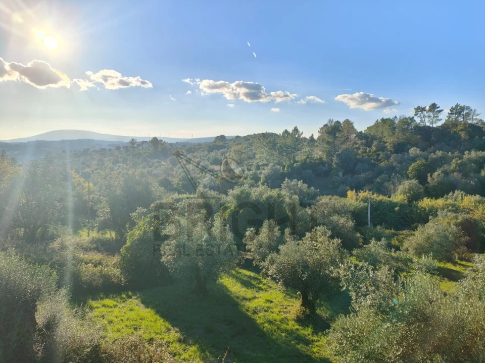 Moradia T3 para Venda em Madalena e Beselga Foto 12