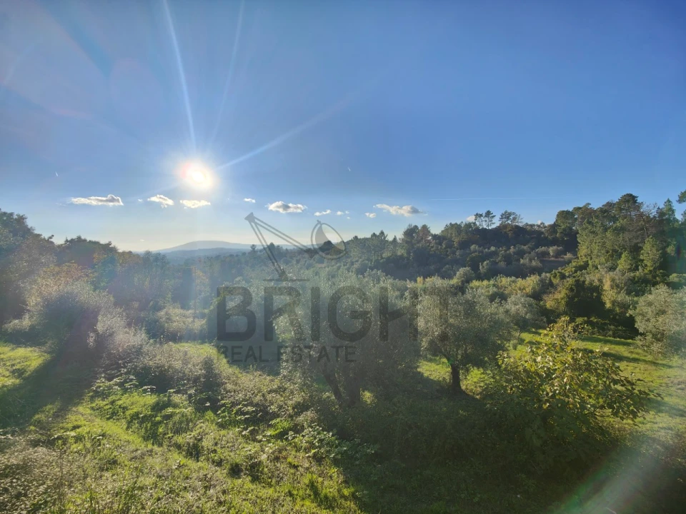 Moradia T3 para Venda em Madalena e Beselga Foto 59