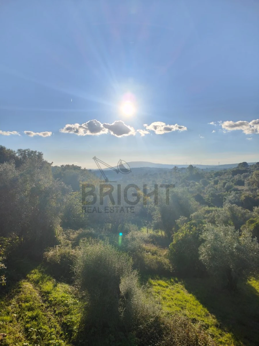 Moradia T3 para Venda em Madalena e Beselga Foto 16