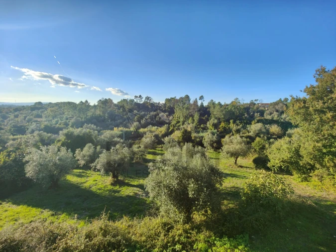 Moradia T3 para Venda em Madalena e Beselga Foto 44