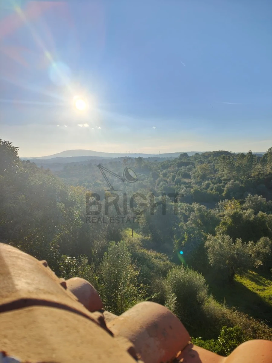 Moradia T3 para Venda em Madalena e Beselga Foto 72