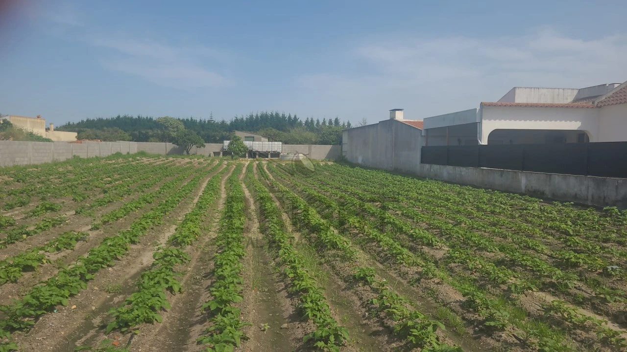 Terreno para Venda em Marinhais Foto 1