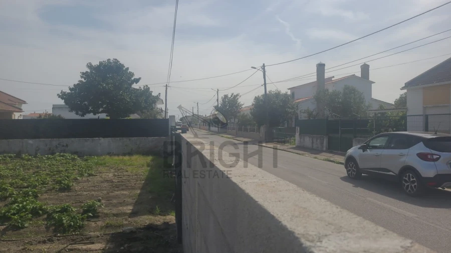 Terreno para Venda em Marinhais Foto 3