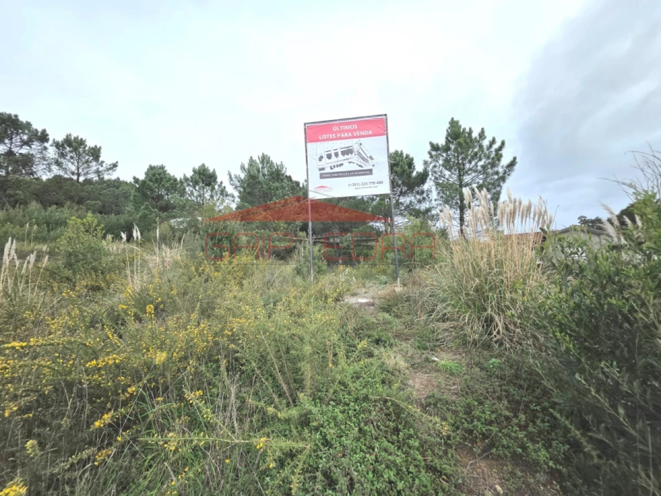 Terreno para Venda em Mozelos Foto 9
