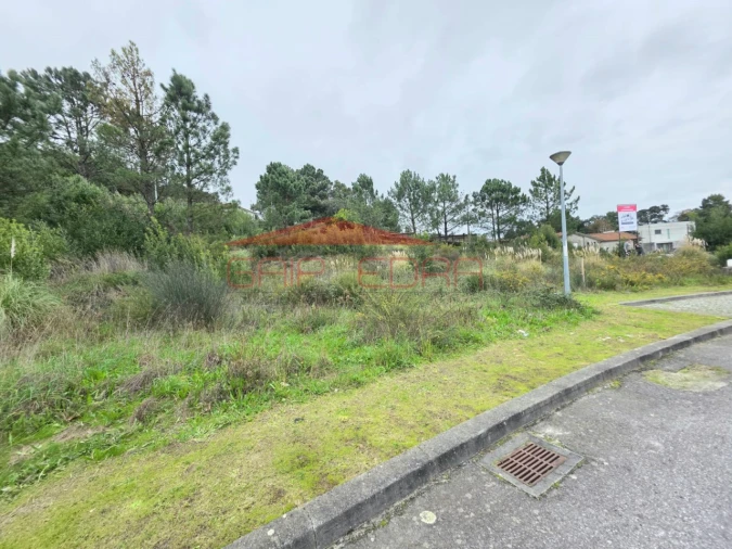 Terreno para Venda em Mozelos Foto 5