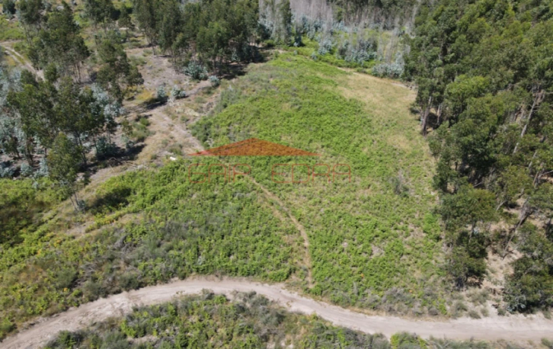 Terreno para Venda em Abragão Foto 6