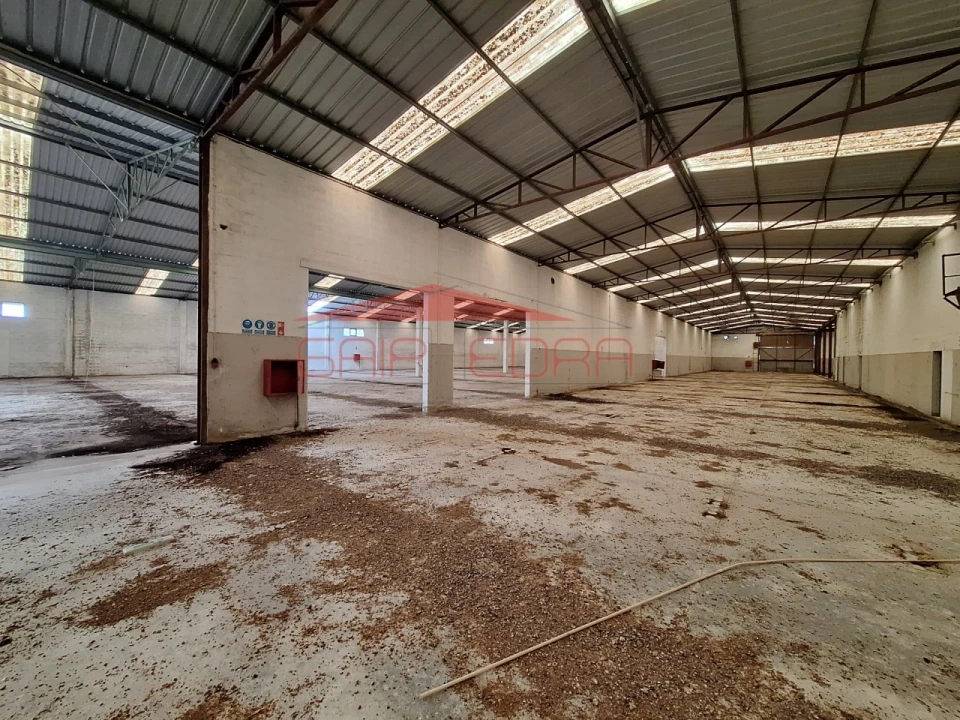 Armazém para Venda em Chamusca e Pinheiro Grande Foto 4