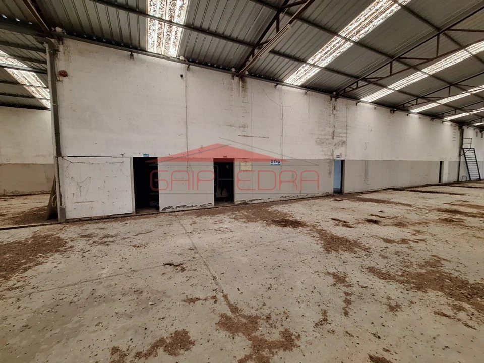 Armazém para Venda em Chamusca e Pinheiro Grande Foto 12