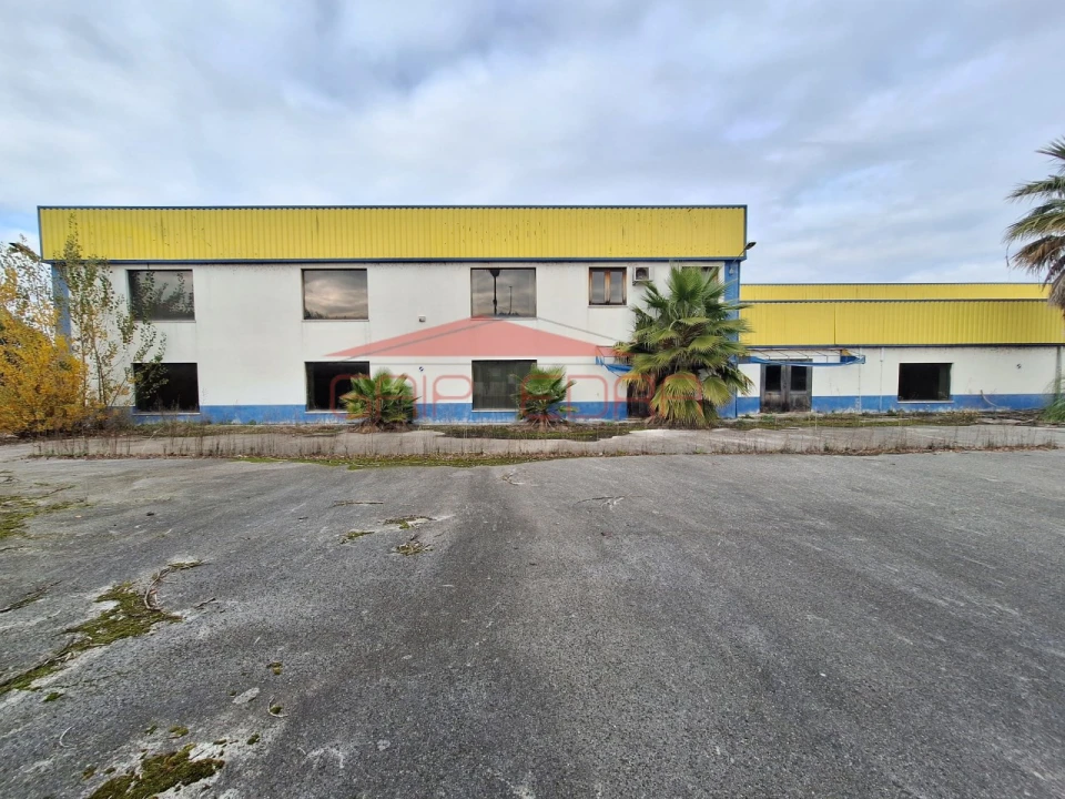 Armazém para Venda em Chamusca e Pinheiro Grande Foto 26