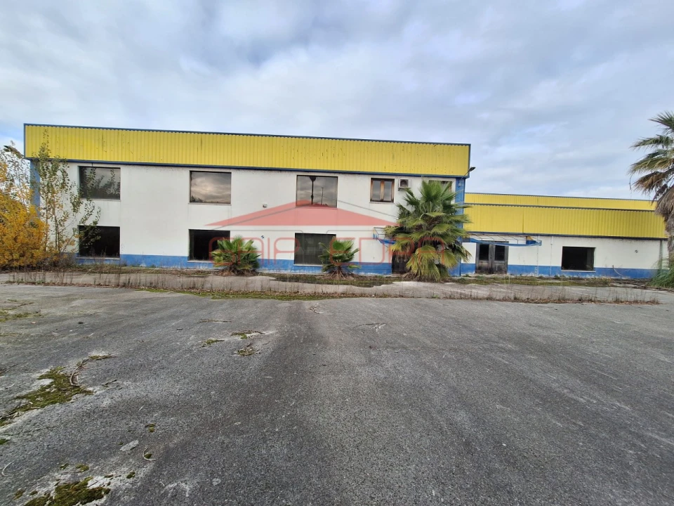 Armazém para Venda em Chamusca e Pinheiro Grande Foto 27