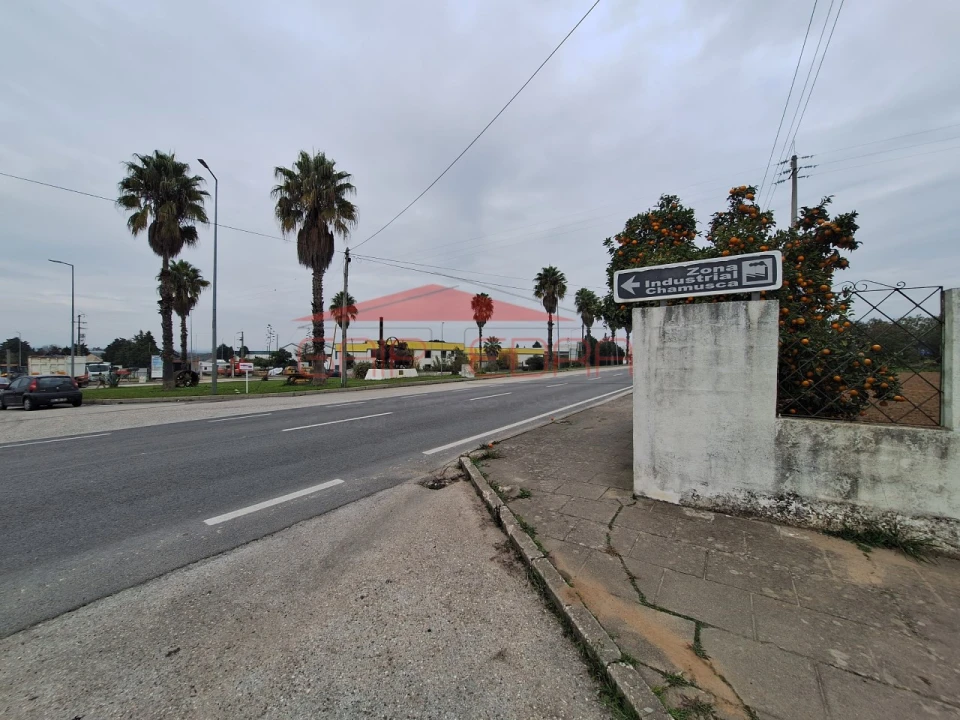 Armazém para Venda em Chamusca e Pinheiro Grande Foto 39