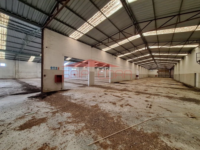 Armazém para Venda em Chamusca e Pinheiro Grande Foto 4