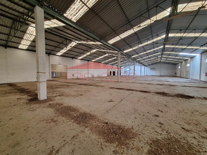 Armazém para Venda em Chamusca e Pinheiro Grande Foto 11