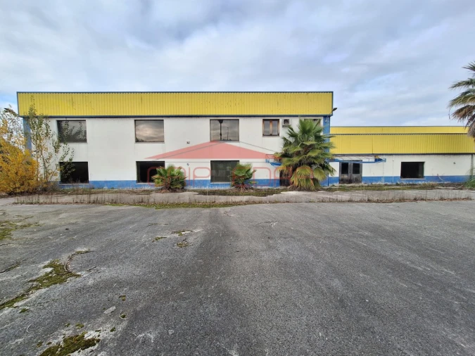 Armazém para Venda em Chamusca e Pinheiro Grande Foto 26