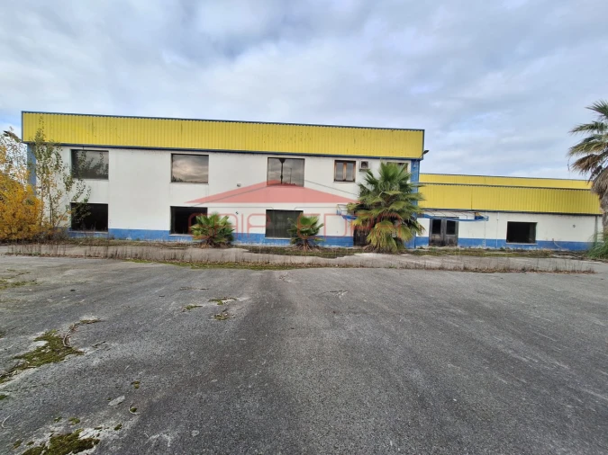 Armazém para Venda em Chamusca e Pinheiro Grande Foto 27