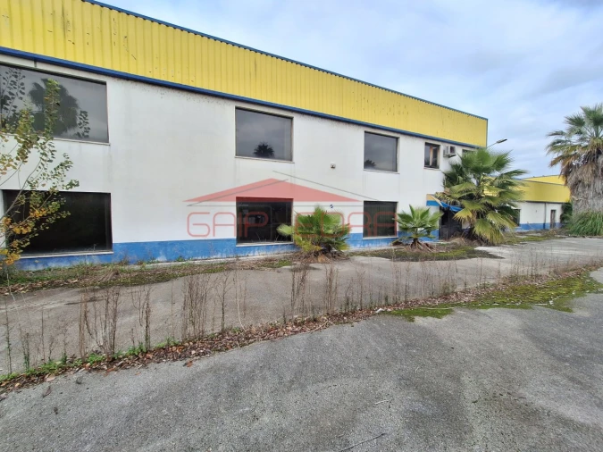 Armazém para Venda em Chamusca e Pinheiro Grande Foto 30