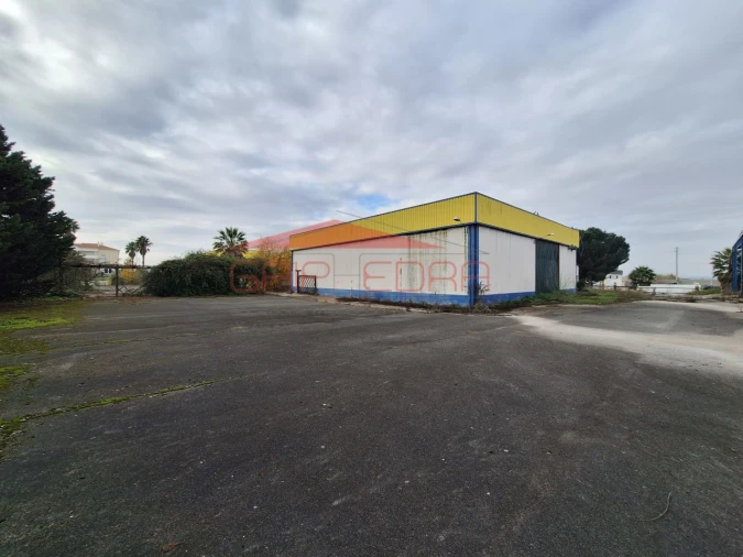 Armazém para Venda em Chamusca e Pinheiro Grande Foto 31