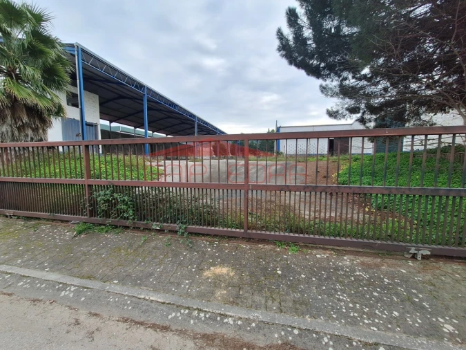 Armazém para Venda em Chamusca e Pinheiro Grande Foto 34