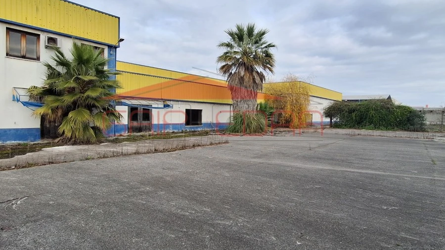 Armazém para Venda em Chamusca e Pinheiro Grande