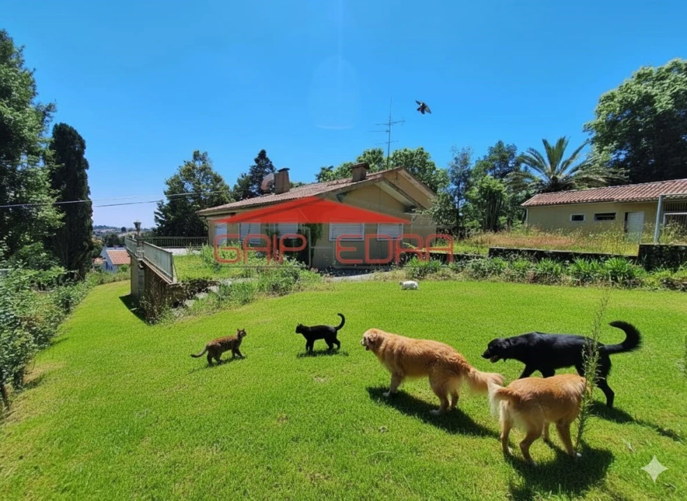 Moradia T6 para Venda em São João da Madeira Foto 7