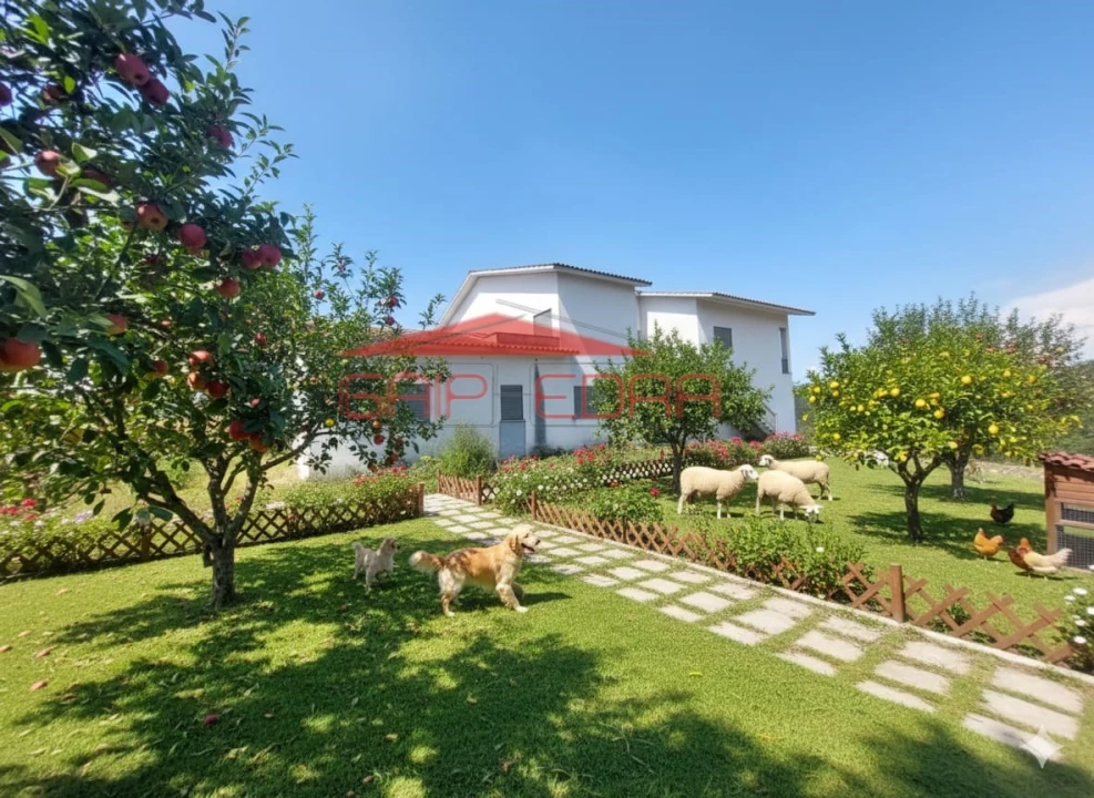 Moradia T7 para Venda em Carvalho Foto 32