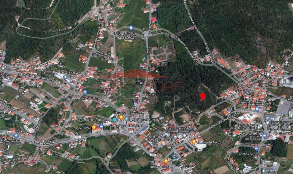 Terreno para Venda em Cesar Foto 6