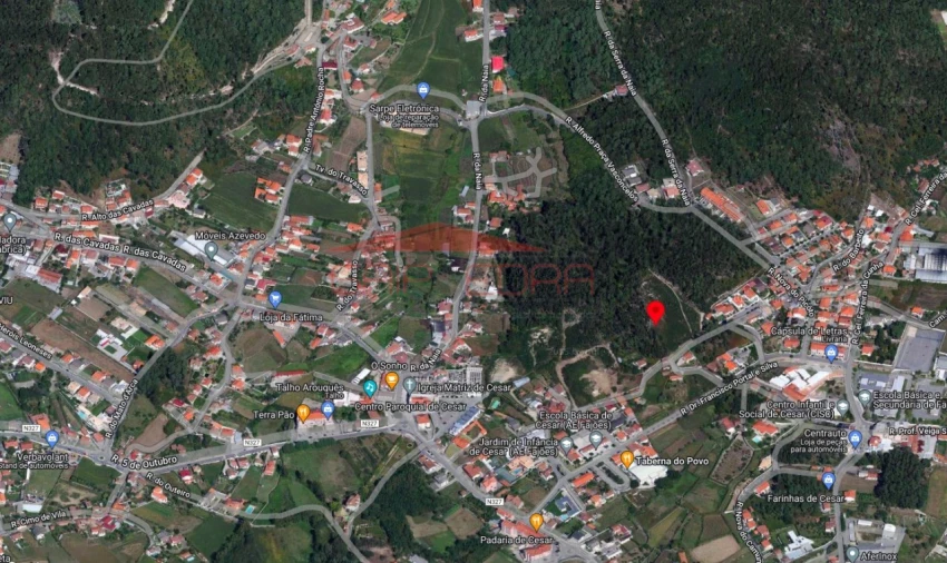 Terreno para Venda em Cesar Foto 6