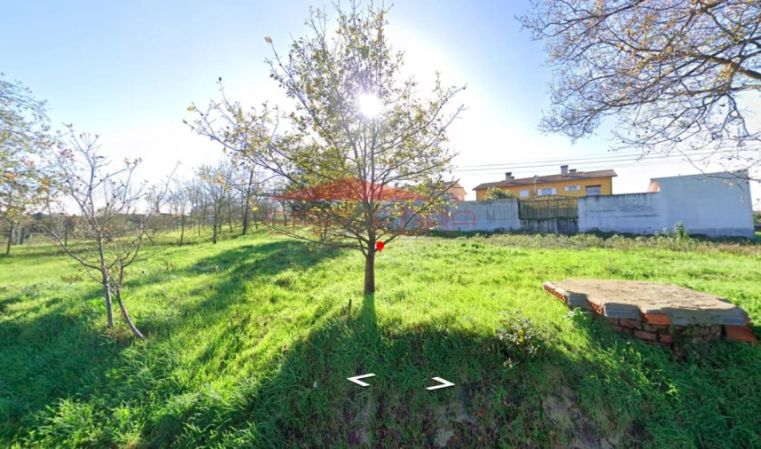 Terreno para Venda em Oiã Foto 1