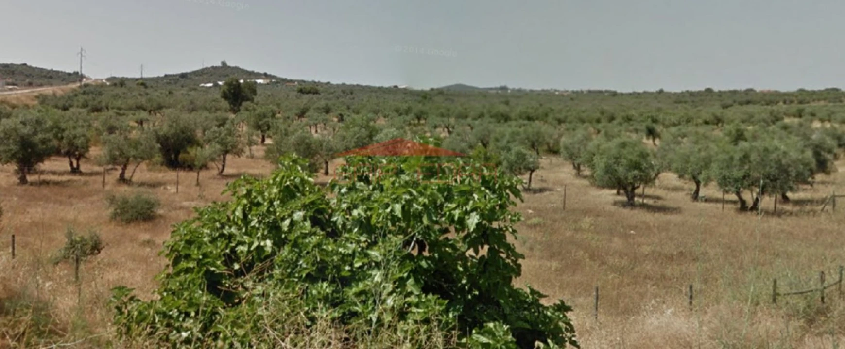 Terreno para Venda em Nossa Senhora da Conceição e São Bartolomeu Foto 3
