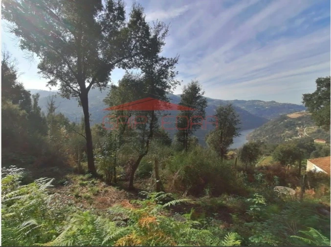 Moradia T3 para Venda em Penhalonga e Paços de Gaiolo Foto 3