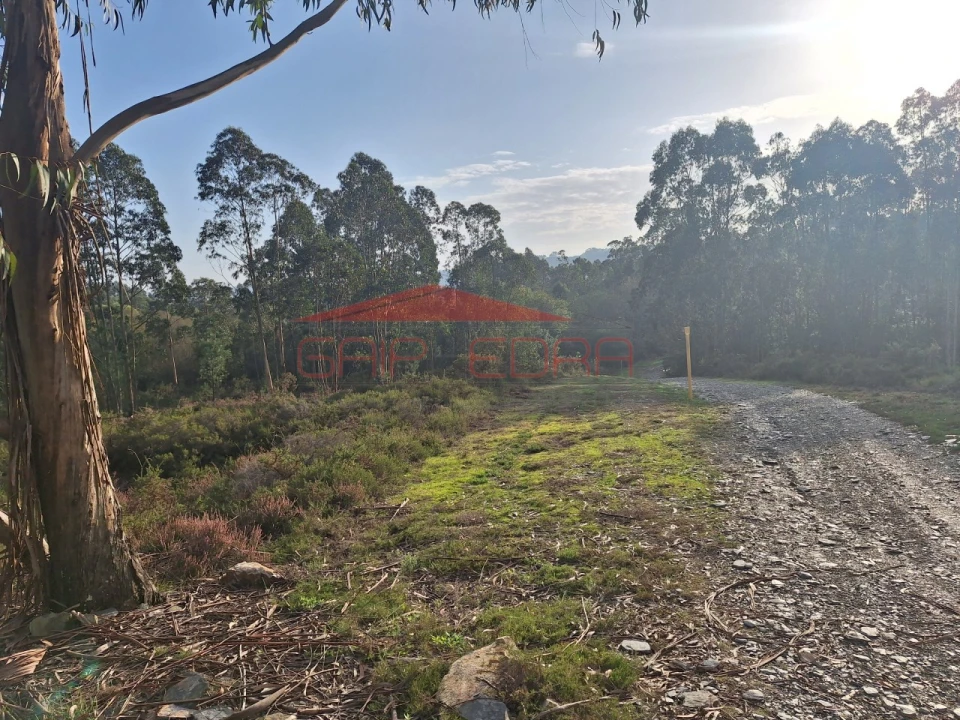 Terreno para Venda em Valongo Foto 5