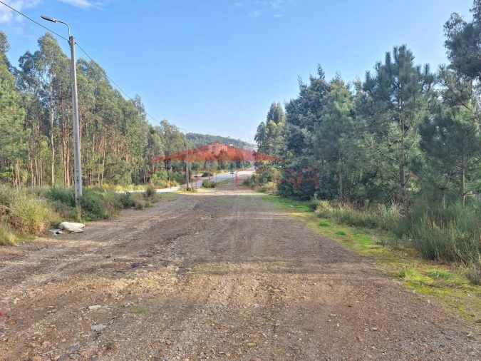 Terreno para Venda em Valongo Foto 3