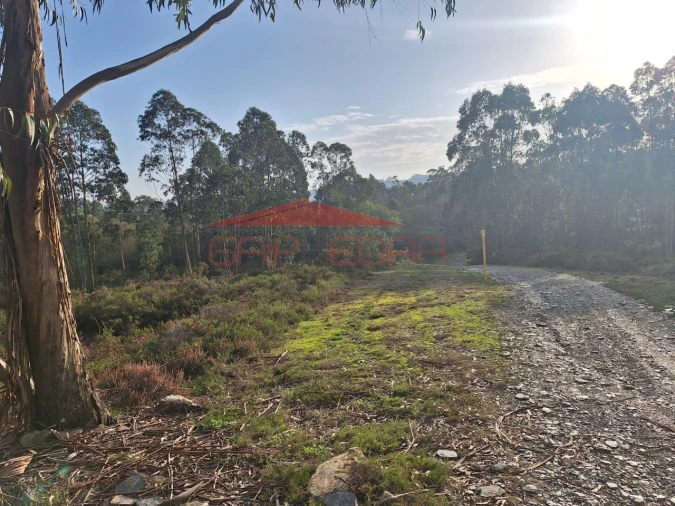 Terreno para Venda em Valongo Foto 5