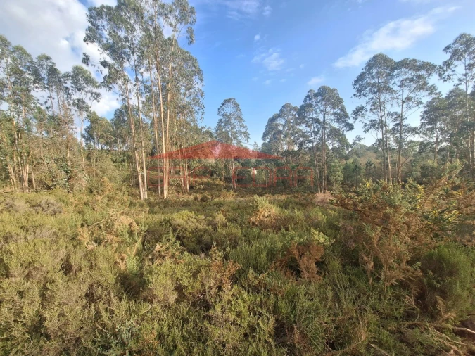 Terreno para Venda em Valongo Foto 8