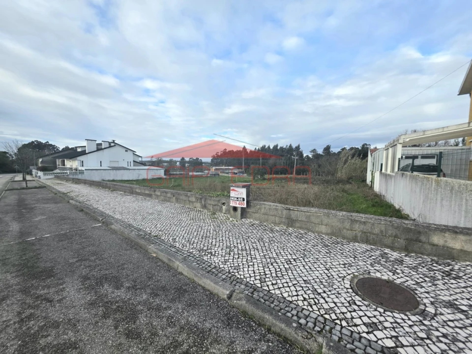 Terreno para Venda em Oiã Foto 2