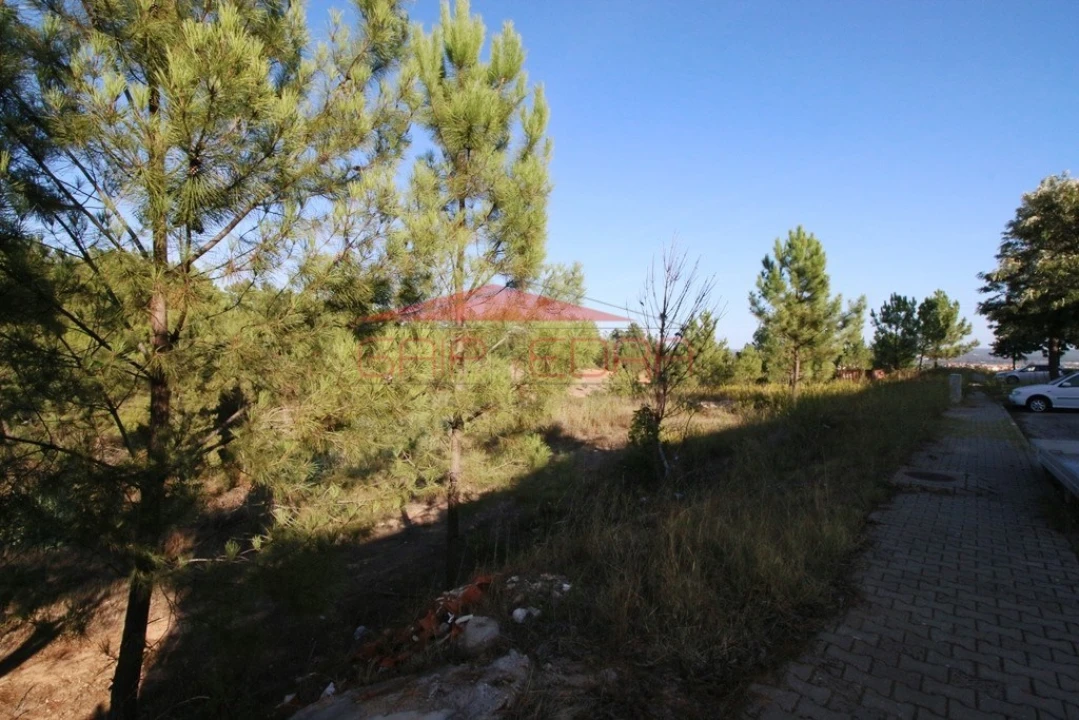 Terreno para Venda em Abrantes (São Vicente e São João) e Alferrarede Foto 5
