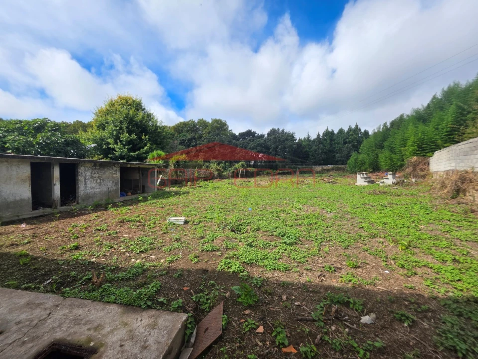 Moradia T4 para Venda em Santa Maria de Lamas Foto 13