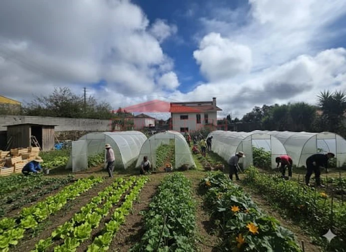 Moradia T4 para Venda em Santa Maria de Lamas Foto 1