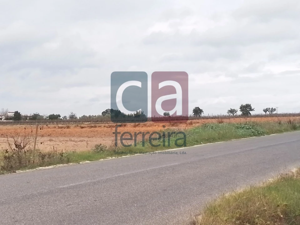 Terreno para Venda em Alpiarça Foto 4