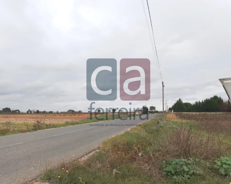Terreno para Venda em Alpiarça Foto 5