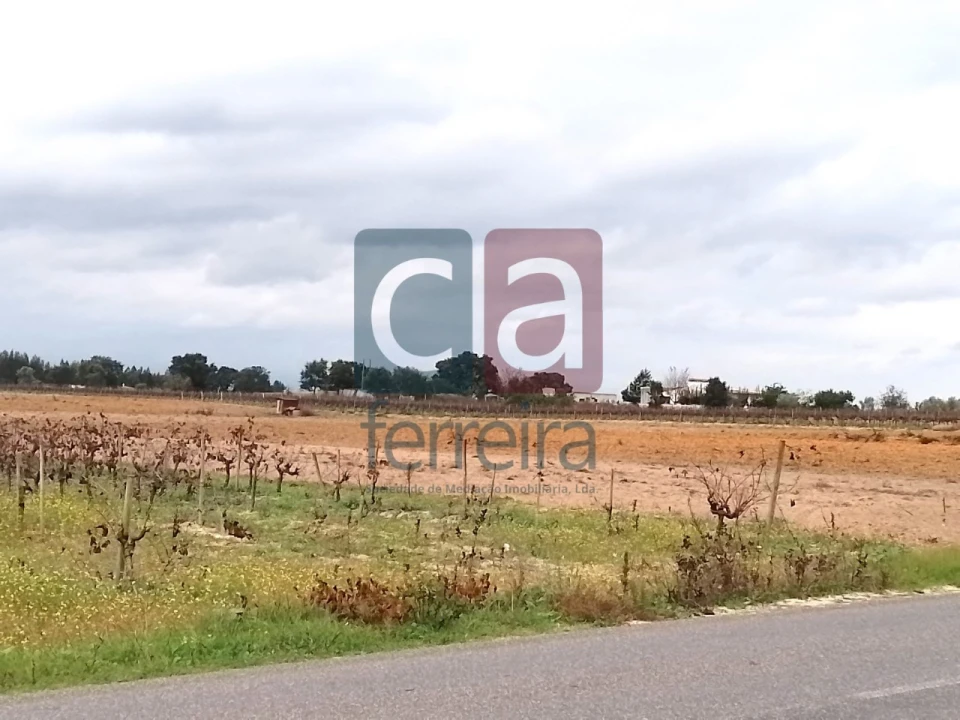 Terreno para Venda em Alpiarça Foto 6