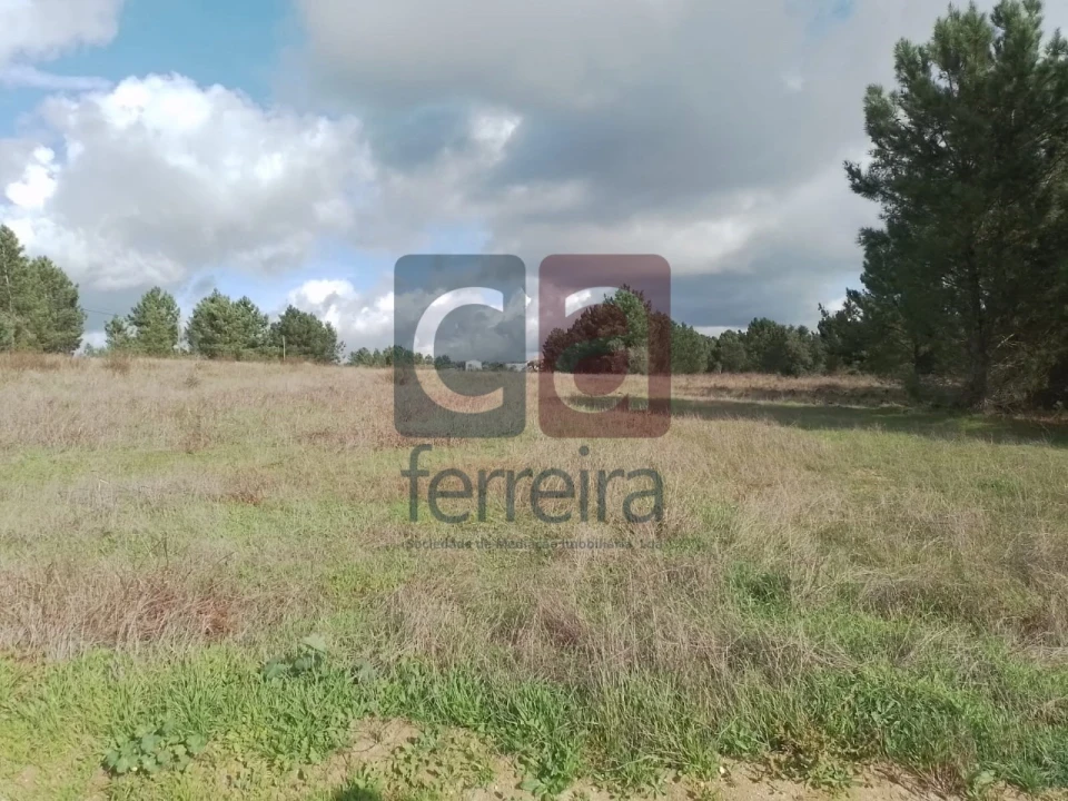 Terreno para Venda em Fazendas de Almeirim Foto 9