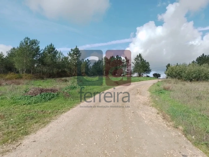 Terreno para Venda em Fazendas de Almeirim