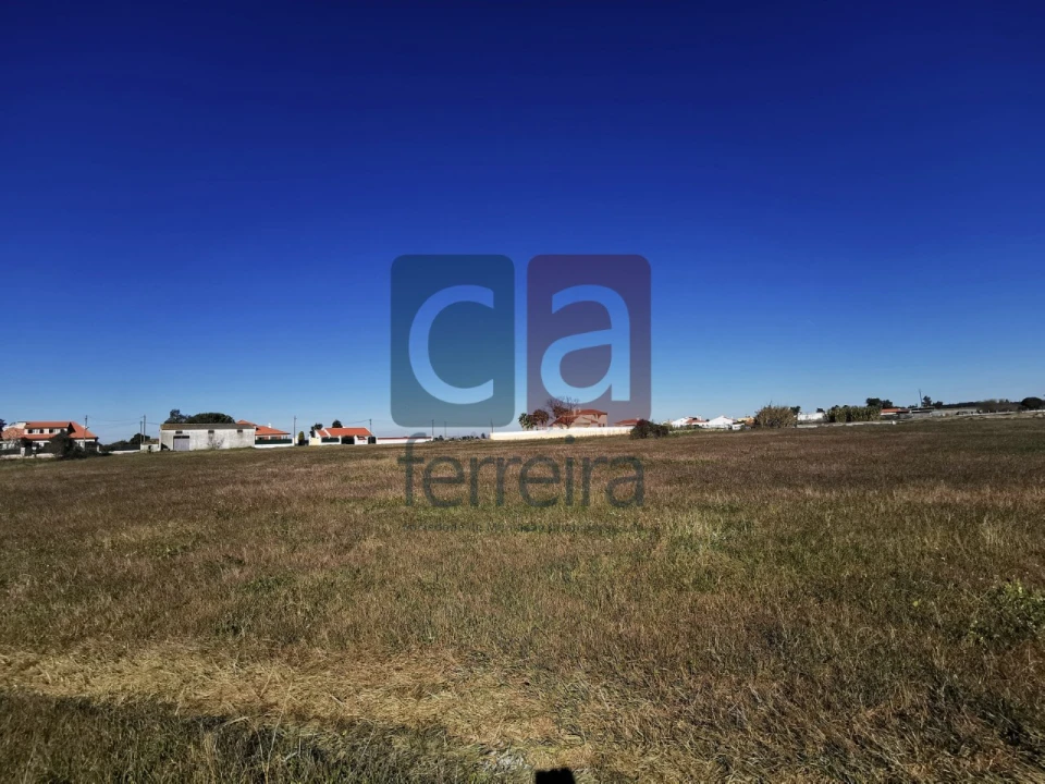 Terreno para Venda em Alpiarça Foto 3