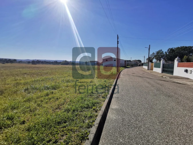 Terreno para Venda em Alpiarça Foto 9