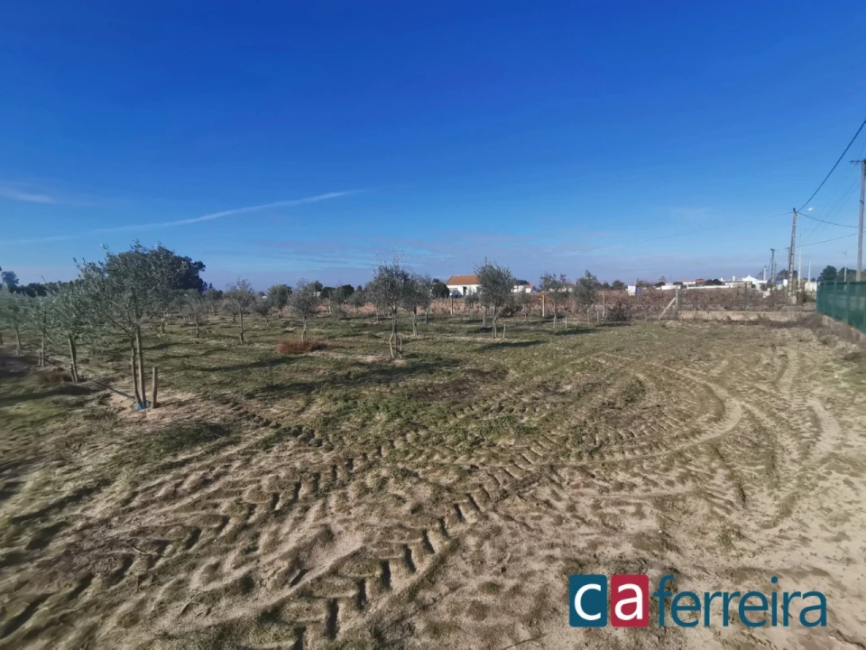 Terreno para Venda em Benfica do Ribatejo Foto 16