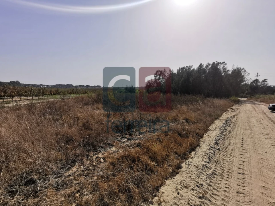 Terreno para Venda em Alpiarça Foto 2