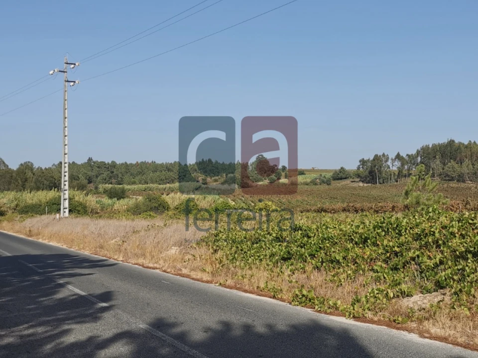 Terreno para Venda em Alpiarça Foto 11
