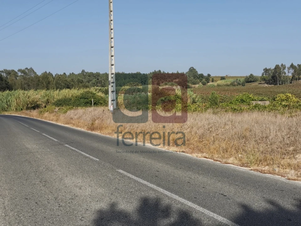 Terreno para Venda em Alpiarça Foto 12